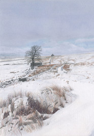 Coalcleugh in the Snow