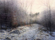 Frosty Morning, Forest Edge, Knitsley Card