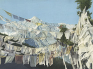 Himalayan Prayer Flags