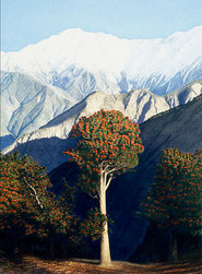 Himalayan Series: Prints